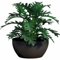 Plant pot Garden ID Black 30 x 14 cm