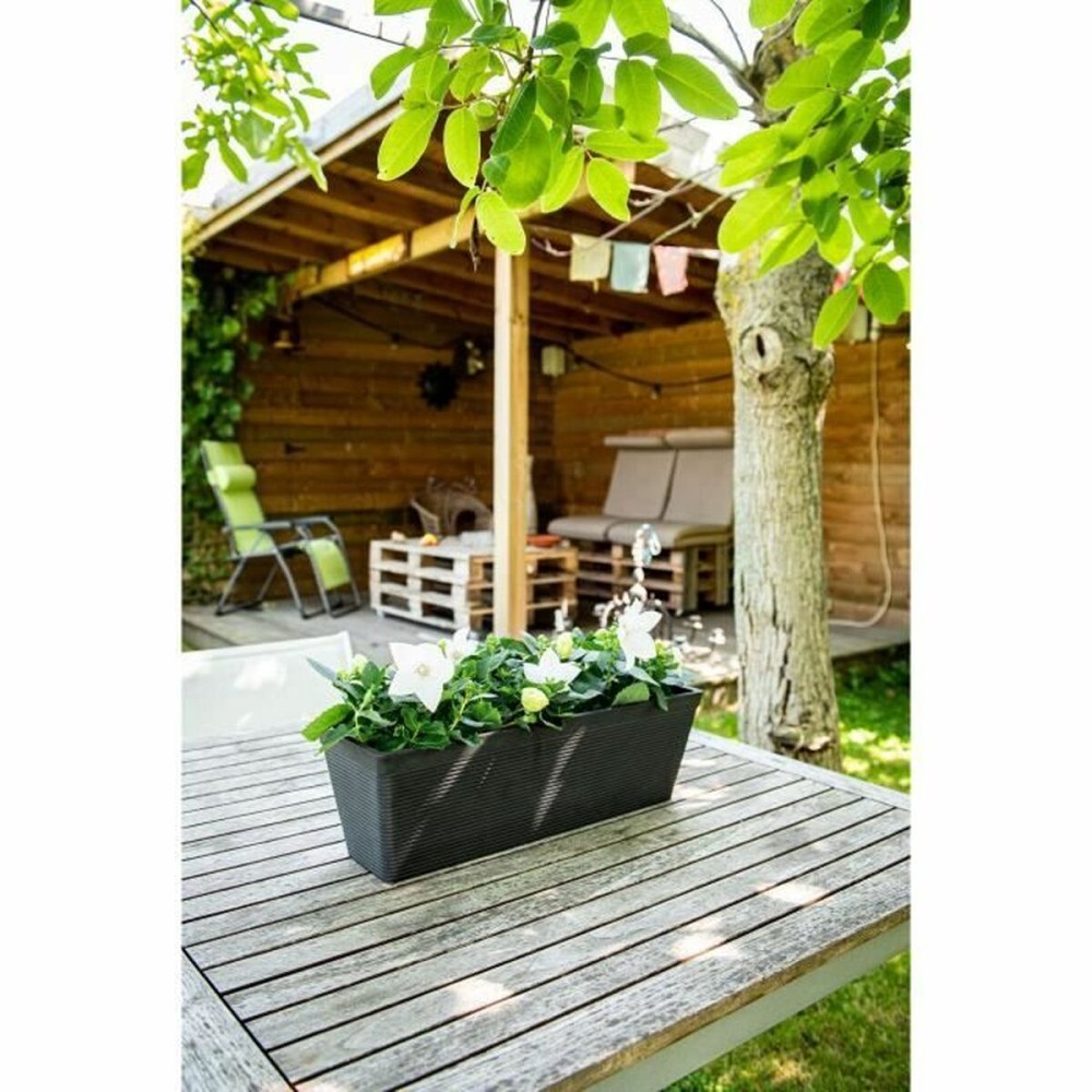 Blumenkasten Garden ID Schwarz 50 x 16 x 16 cm