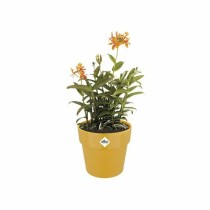 Plant pot Elho 9262302511800 Ocre Plastic Circular Ø 24,7 x 23,2 cm