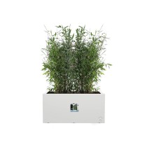 Pot Elho 59 x 30 x 29 cm Blanc Plastique Rectangulaire Moderne