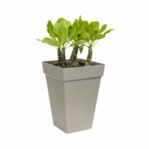 Plant pot Elho Anthracite polypropylene Plastic Squared Modern 37 cm