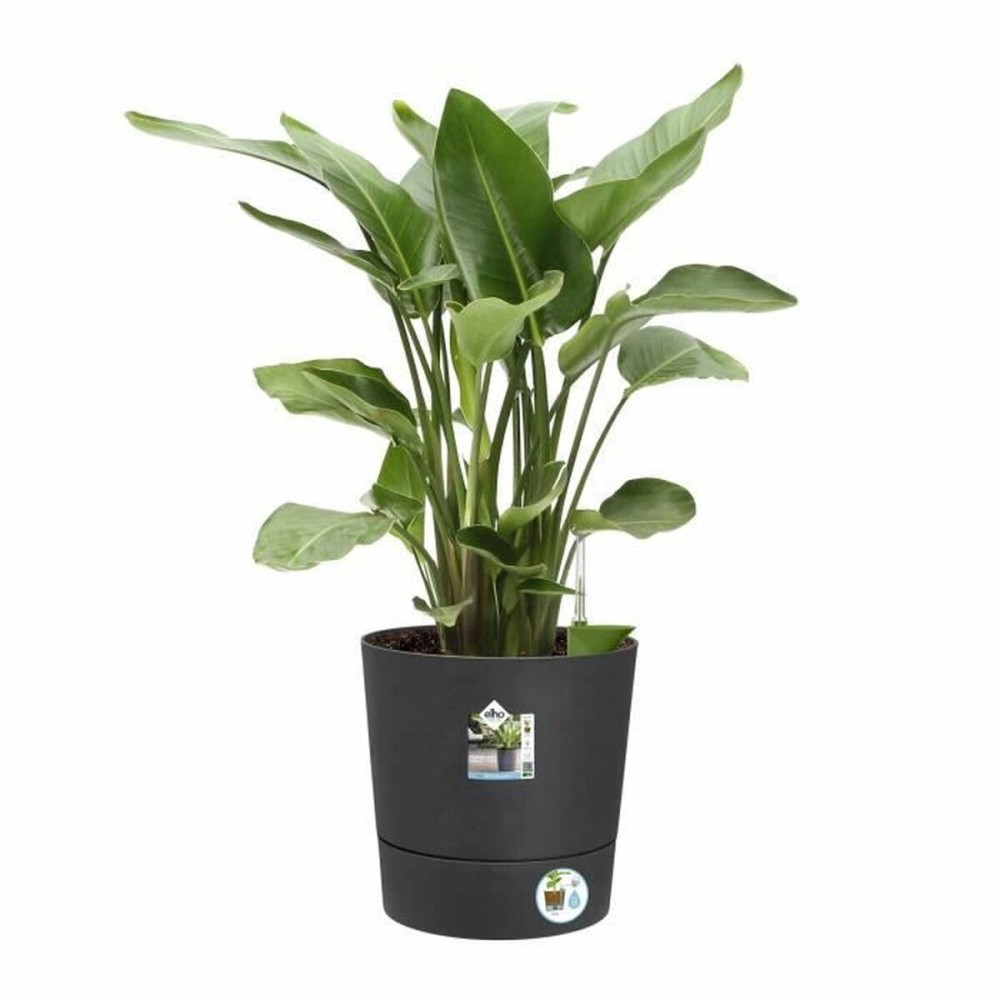 Plant pot Elho Plastic Circular Modern