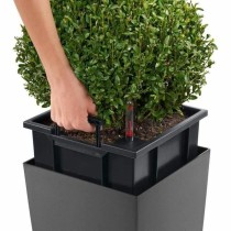 Pot auto-arrosant Lechuza Anthracite 39,5 x 39,5 x 75,5 cm polypropylène Plastique