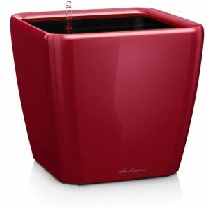 Pot auto-arrosant Lechuza Rouge 50 x 50 x 46,5 cm Plastique