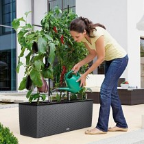 Plant pot Lechuza 100 x 32 x 34 cm Plastic Rectangular