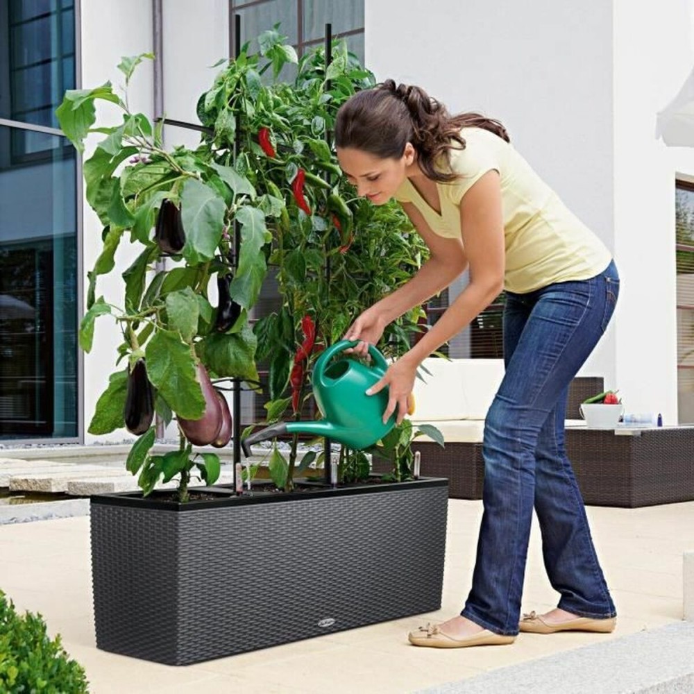 Plant pot Lechuza 100 x 32 x 34 cm Plastic Rectangular