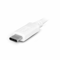 Câble USB C Urban Factory TCE01UF              Blanc