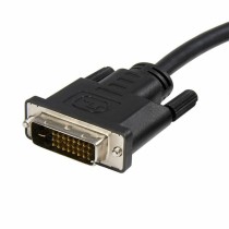 Câble DisplayPort vers DVI Startech DP2DVIMM10           Noir