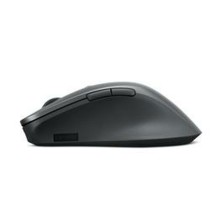 Souris Lenovo 4Y51J62544 Gris 2400 dpi