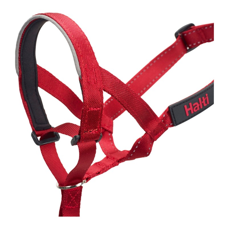 Collier d'entraînement pour chiens Company of Animals Halti Muselière (46-62 cm)