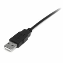 Câble USB A vers USB B Startech USB2HABM1M           Noir