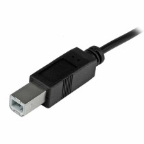 Câble USB C vers USB B Startech USB2CB2M             (2 m) Noir