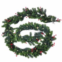 Wreath of LED Lights Lumineo Imperial Soft green 6,1 m 270 x 12 cm White