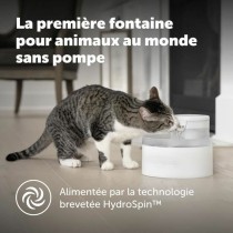 Pet Water Fountain PetSafe White