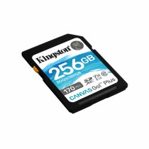 Carte Mémoire SD Kingston SDG3/256GB 256 GB