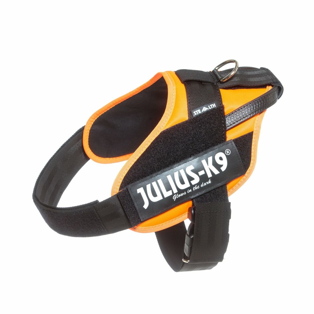 Hundegeschirr Julius K9 IDC Orange L/XL 2 71-96 cm