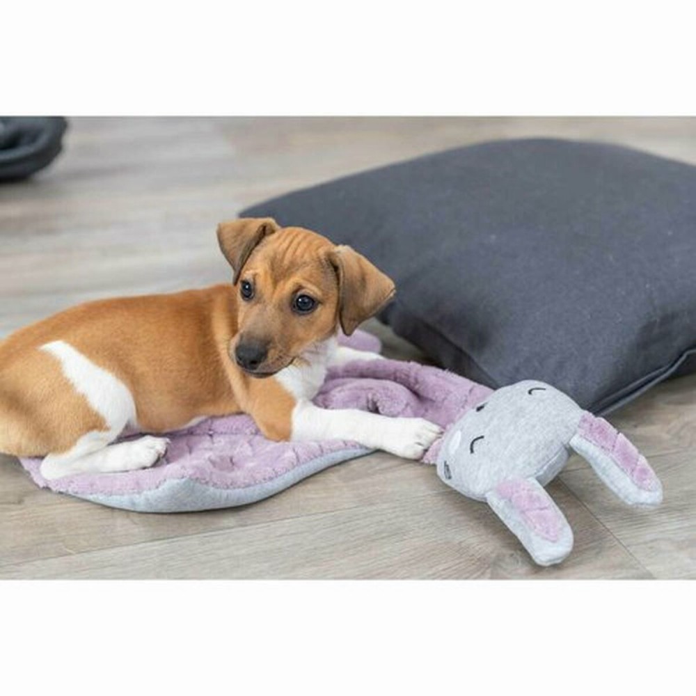 Couverture pour animaux de compagnie Trixie 038242 Lila Gris clair 55 x 40 cm