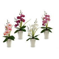 Fleur décorative Ibergarden A18124-33-WH Orchidée 14 x 35 x 8 cm (12 Unités)