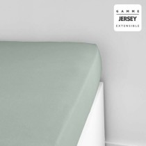 Fitted bottom sheet TODAY Jersey Light Green 140 x 190 cm