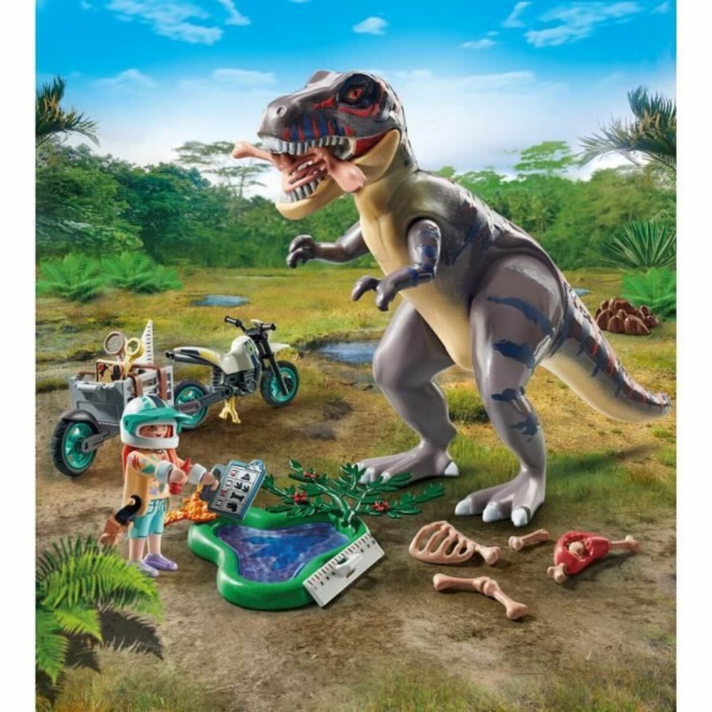 Accessoires pour poupées Playmobil