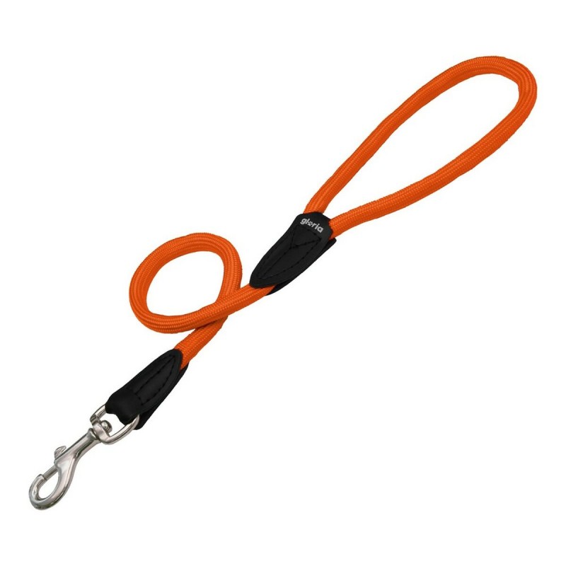 Laisse pour Chien Gloria 1.2 x 120 cm Orange