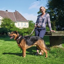 Collier pour Chien Hunter Swiss Marron Noir M 55 cm