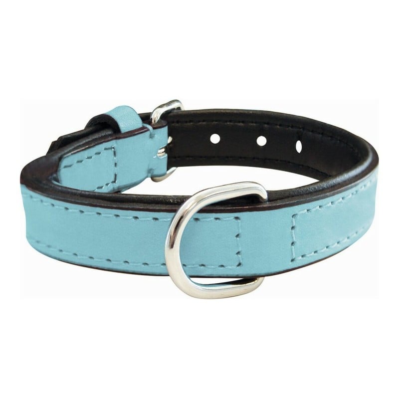 Dog collar Gloria Padded Blue (40 x 2 cm)