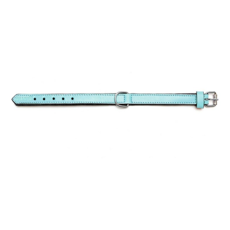 Hundehalsband Gloria Polsterung Blau 40 cm (40 x 2 cm)