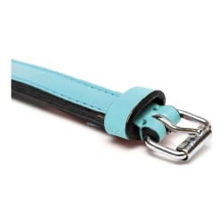 Dog collar Gloria Padded Blue (40 x 2 cm)