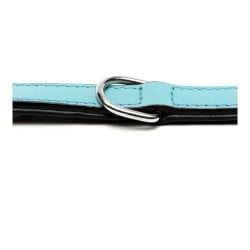 Hundehalsband Gloria Polsterung Blau 40 cm (40 x 2 cm)