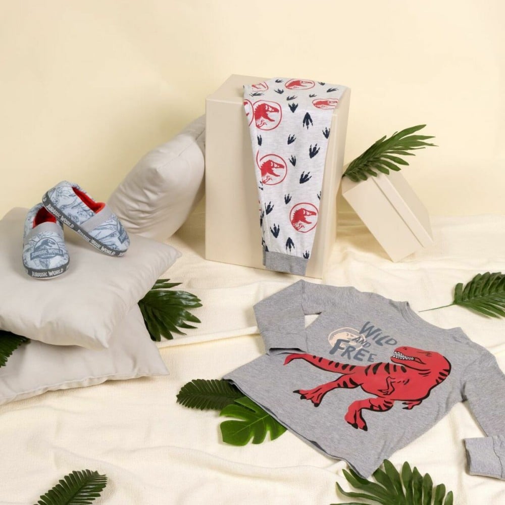 Chaussons Jurassic Park Gris clair