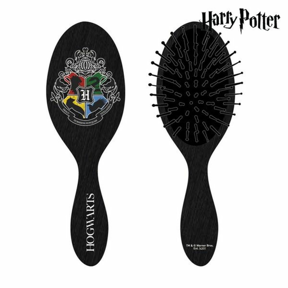 Brosse à Cheveux Harry Potter CRD-2500001307 Noir