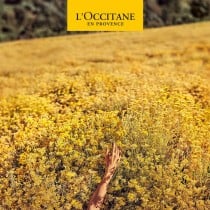 Déodorant L'Occitane En Provence Homme 50 ml Roll-On