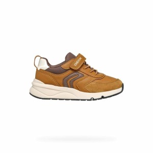 Chaussures de Sport pour Enfants Geox Rooner B. Marron