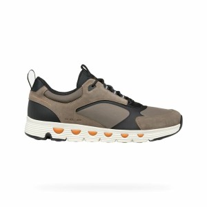 Herren-Sportschuhe Geox Spherica Ecub-4 A