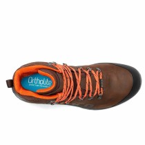 Men's Trainers Chiruca Sequoia Force 12 Brown