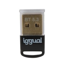 Adaptateur Bluetooth iggual IGG319383