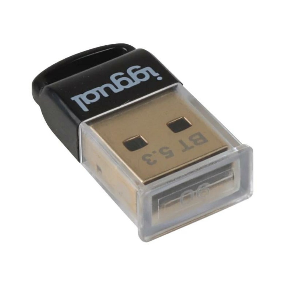 Bluetooth Adaptor iggual IGG319383