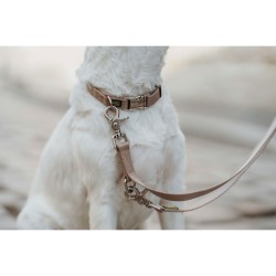 Collier pour Chien Hunter Inari Beige XL 45-65 cm