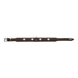 Collier pour Chien Hunter Swiss 30-34.5 cm