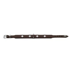 Hundehalsband Hunter Swiss 30-34.5 cm