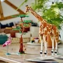 Playset Lego 31150 Creator Wild Animal Safari