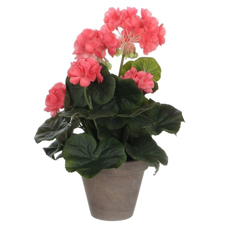 Decorative Plant Mica Decorations PVC Geranium (11,5 x 33 cm)