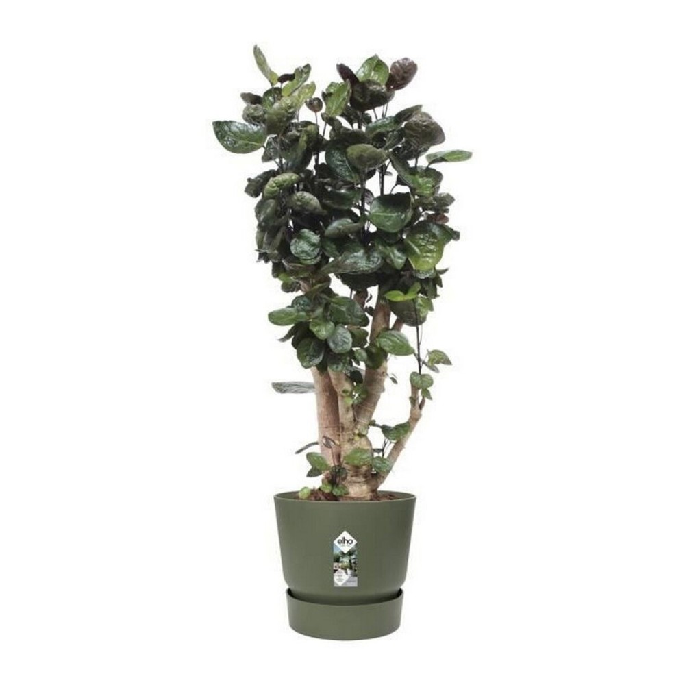 Plant pot Elho Greenville Ø 39 x 36,8 cm Green