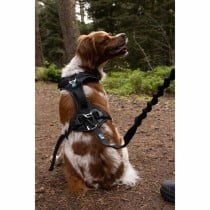 Dog Harness SYMBIOZ Black XXS