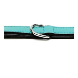 Hundehalsband Gloria Polsterung Turquoise 50 cm (50 x 2,5 cm)