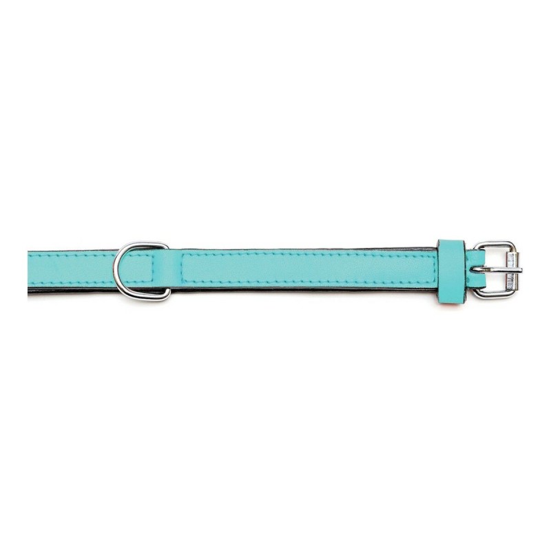 Collier pour Chien Gloria Rembourré Turquoise (50 x 2,5 cm)