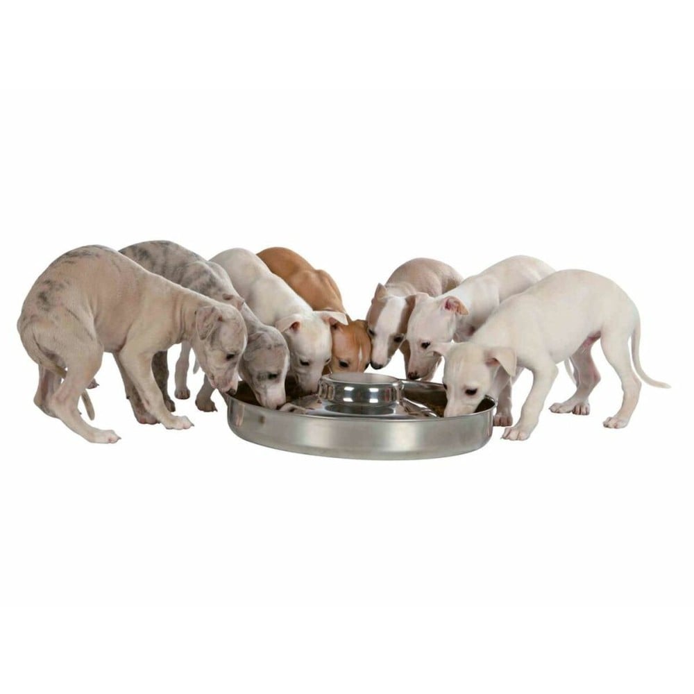 Dog Feeder Trixie Junior Stainless steel Ø 38 cm 4 L