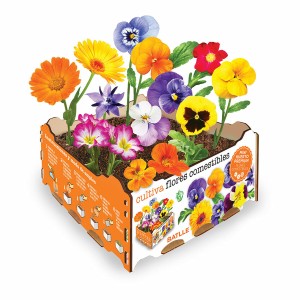 Pflanzset Batlle Blomster Essbar 19 x 19 x 10 cm