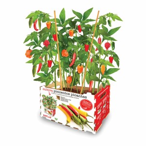 Pflanzset Batlle Paprika Pikant 30 x 19,5 x 16,2 cm